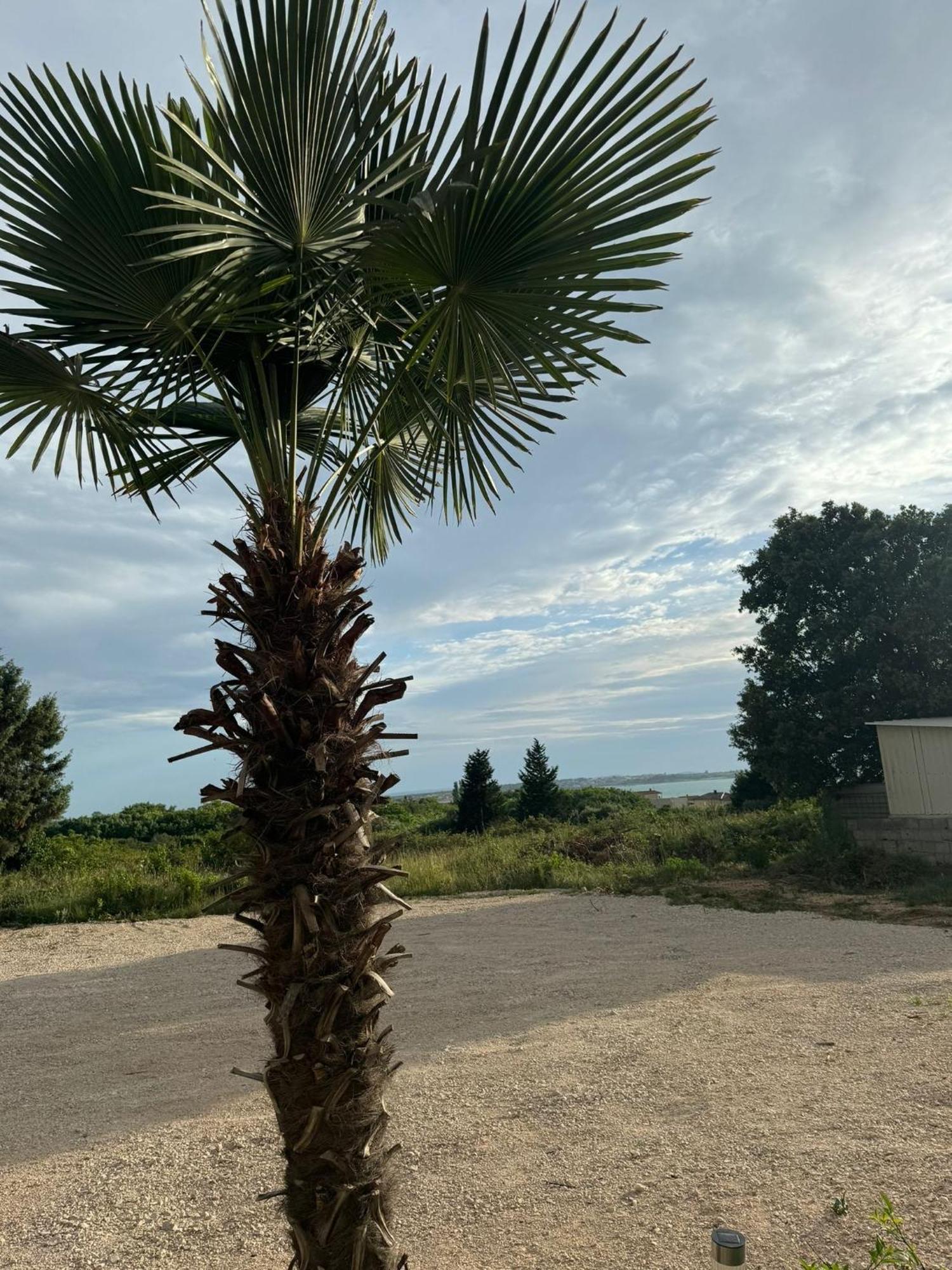 Apartments Bernarda 1 Nin Zewnętrze zdjęcie